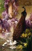 Eugene Bidau A Peacock and Doves in a Garden Germany oil painting artist